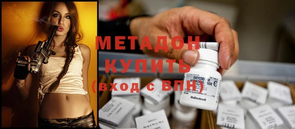 ПСИЛОЦИБИНОВЫЕ ГРИБЫ Вязники