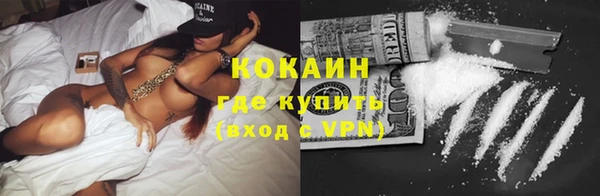 apvp Вяземский