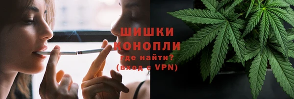 ПСИЛОЦИБИНОВЫЕ ГРИБЫ Вязники