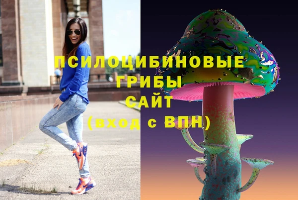 apvp Вяземский
